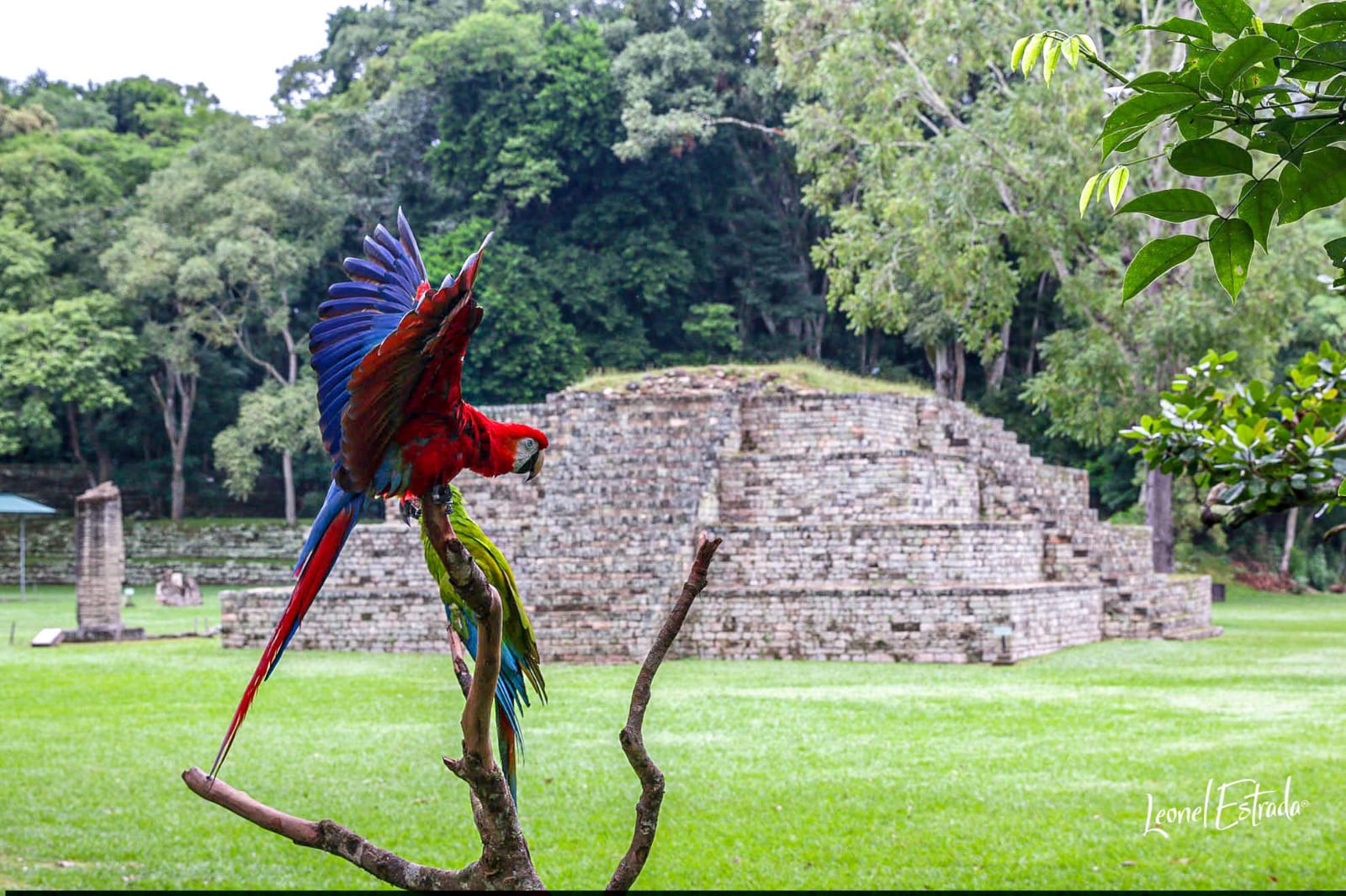 Imagen