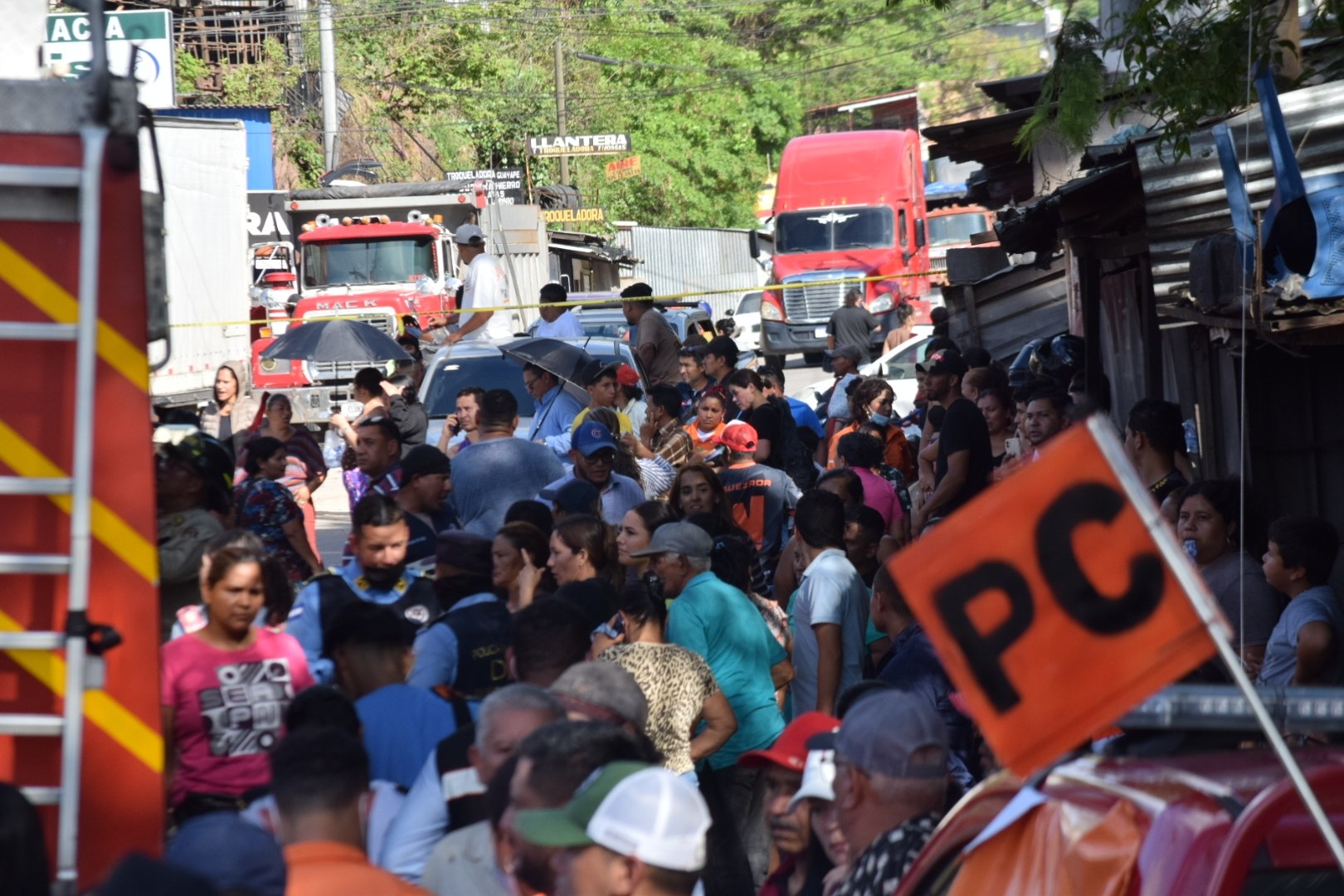 Imagen 4