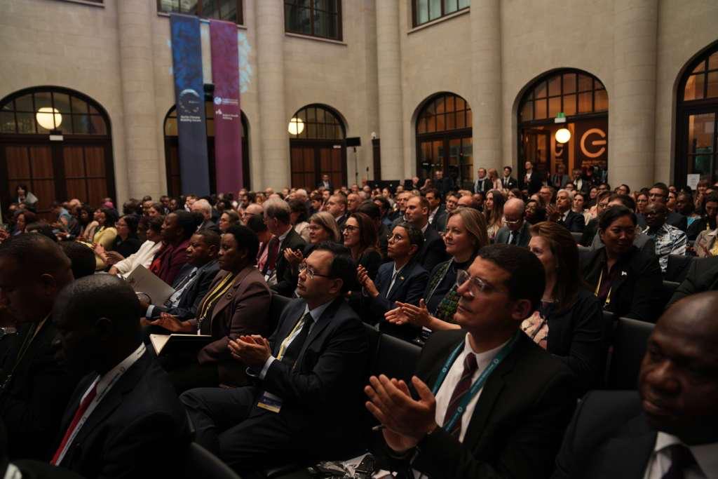 Imagen 6