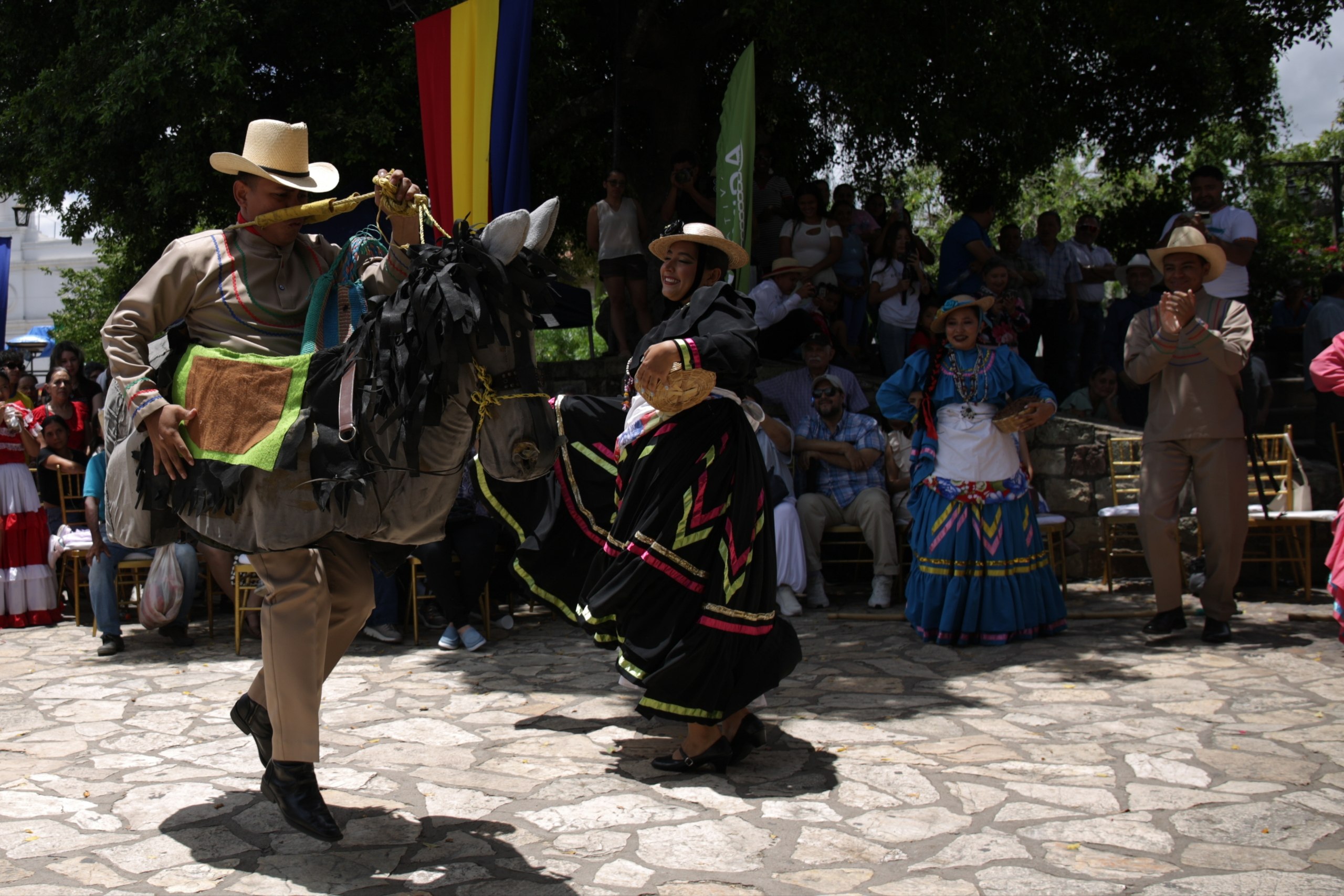 Imagen 2