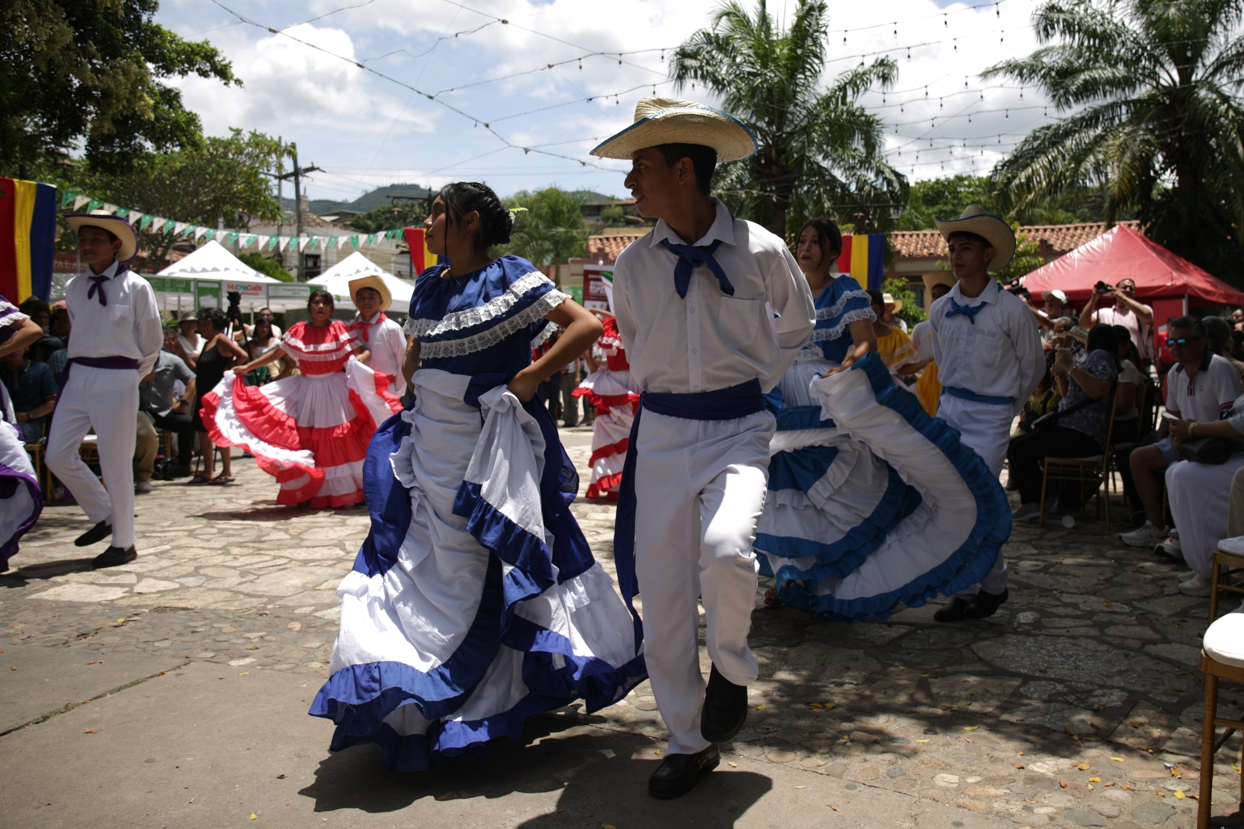 Imagen 5