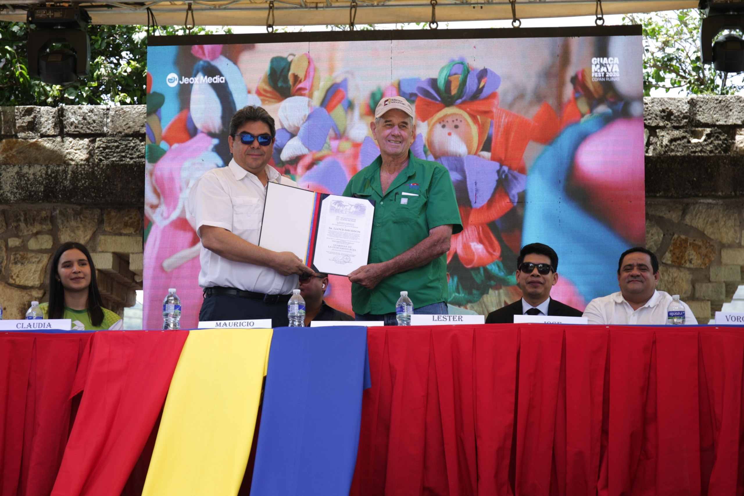 Imagen 10