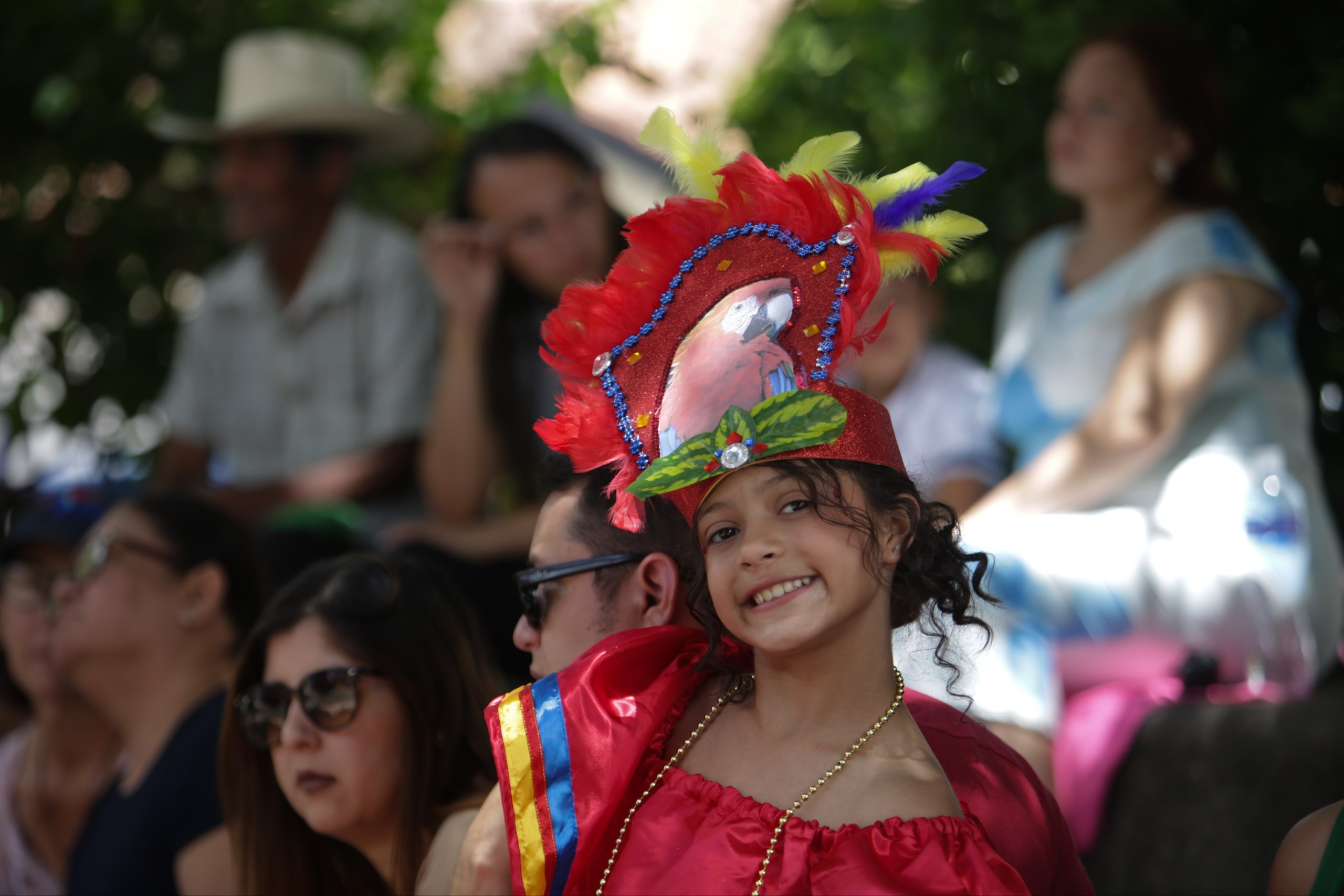 Imagen 11