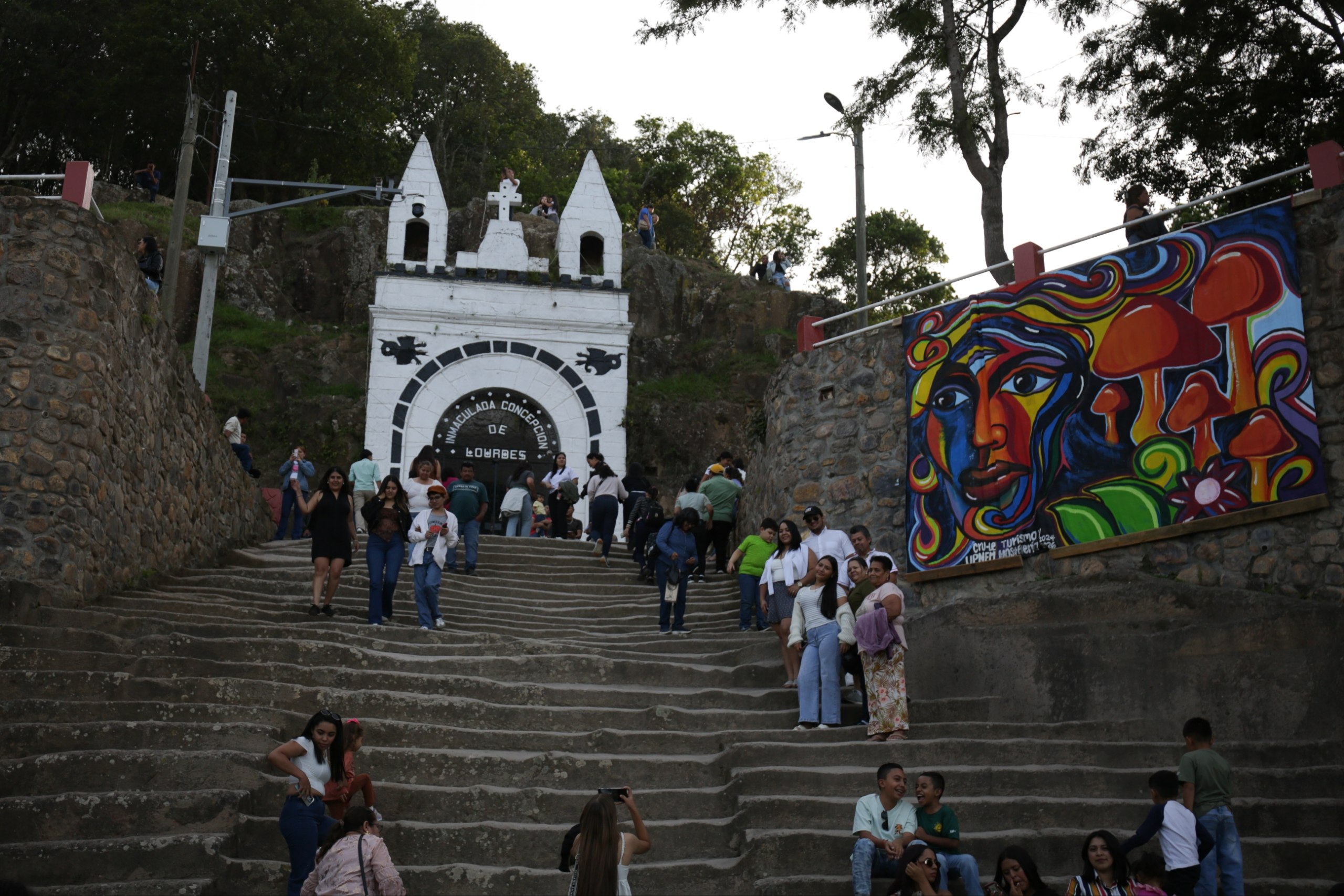 Imagen