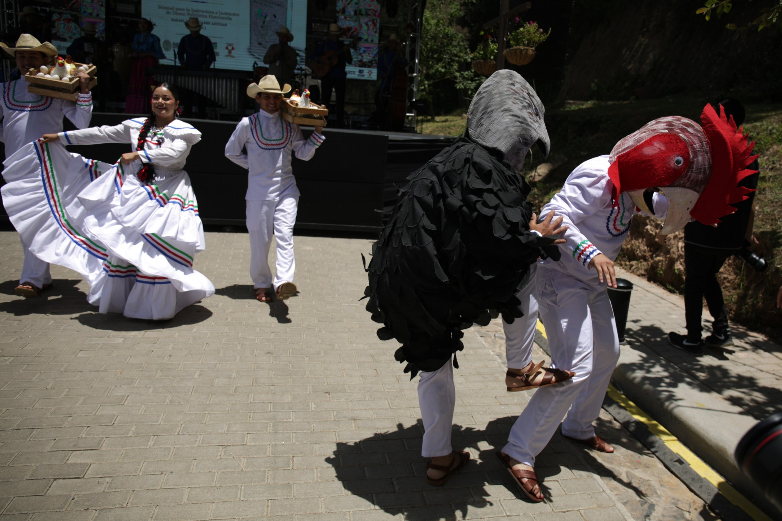 Imagen 5