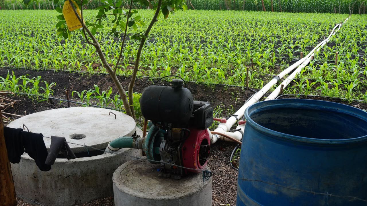 Gobierno invertirá L140 millones en sistemas de riego y apoyar al agro