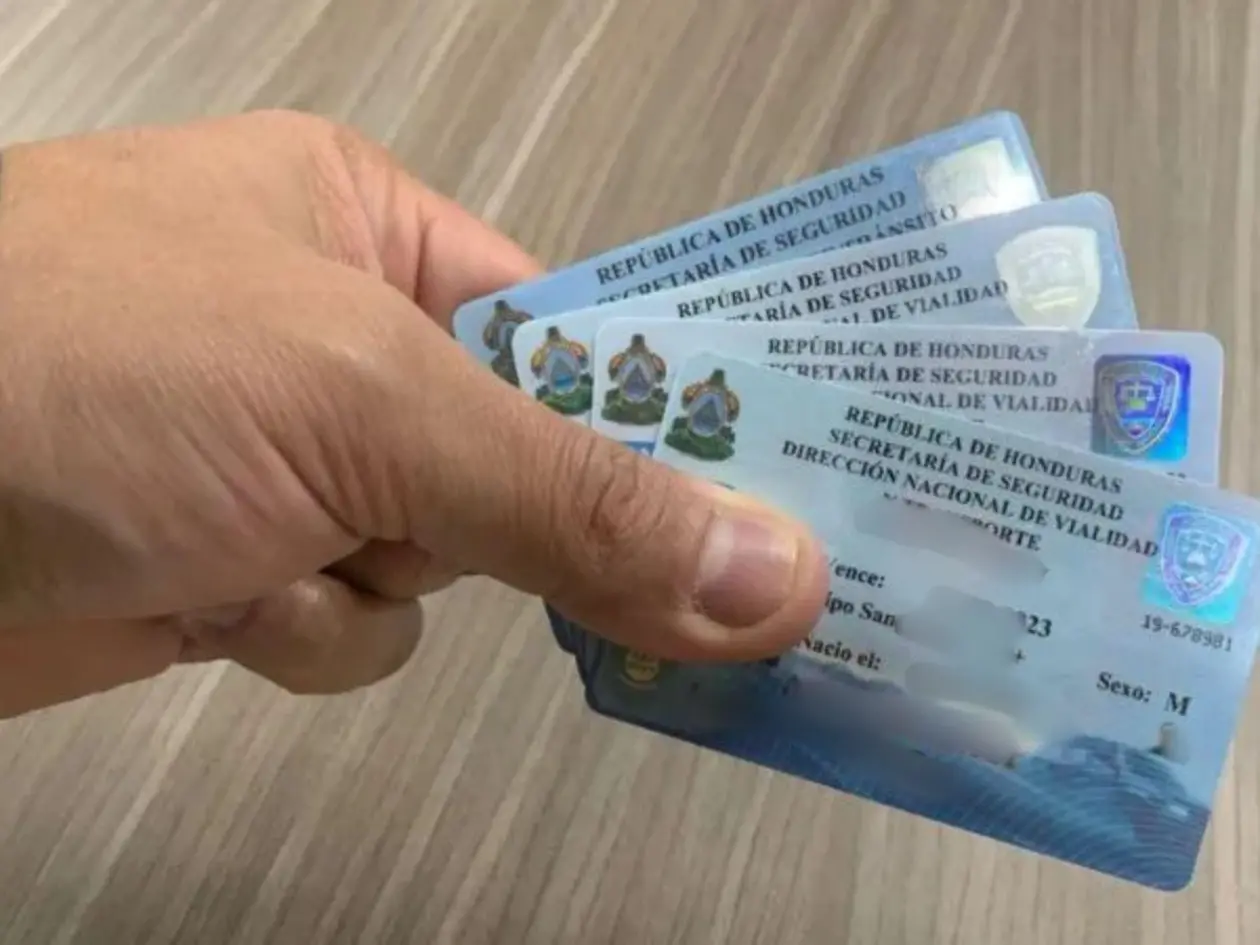 licencias_9399180_20241217080413.webp