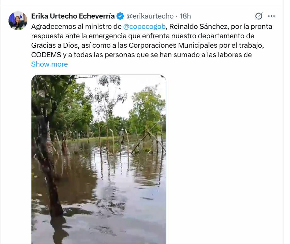 Captura de pantalla 2026-07-15 063343.png
