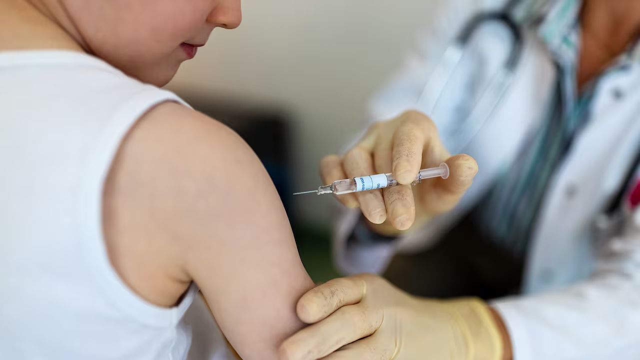 principal_vacunacion-infantil-contra-el-dengue-inicia-en-honduras-para-prevenir-contagios-2025-03-25_seo_fs.jpg