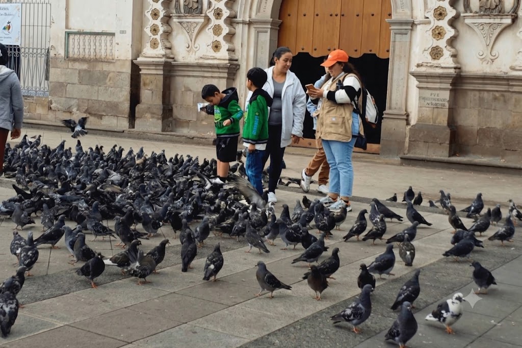 Imagen 1