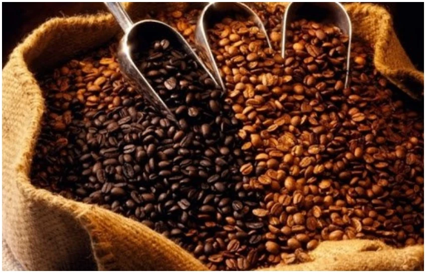 honduras-se-encamina-a-un-record-historico-en-exportaciones-de-cafe.webp