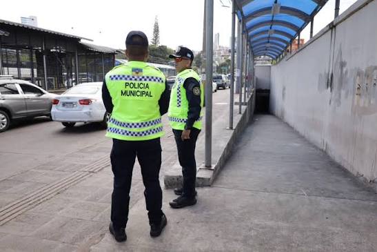 Se pueden reportar puntos de taxis y buses ilegales, así como vehículos abandonados