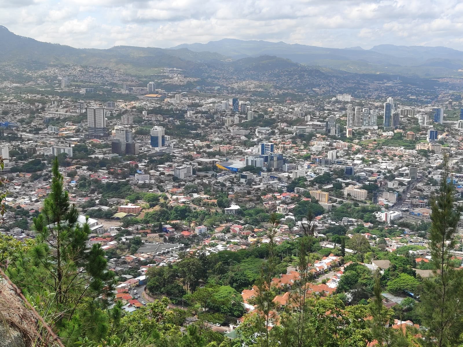 Imagen 2