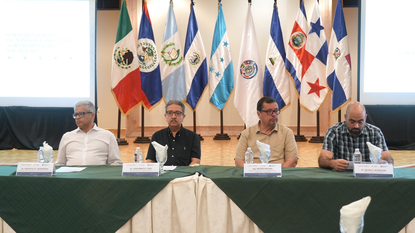 Parte de la agenda técnica, especialistas de Senasa desarrollan exposiciones sobre la reglamentación nacional.