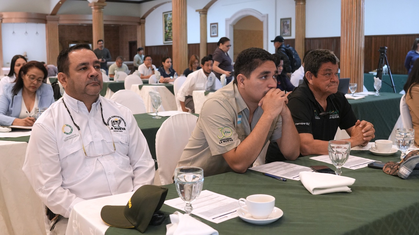 Imagen 2