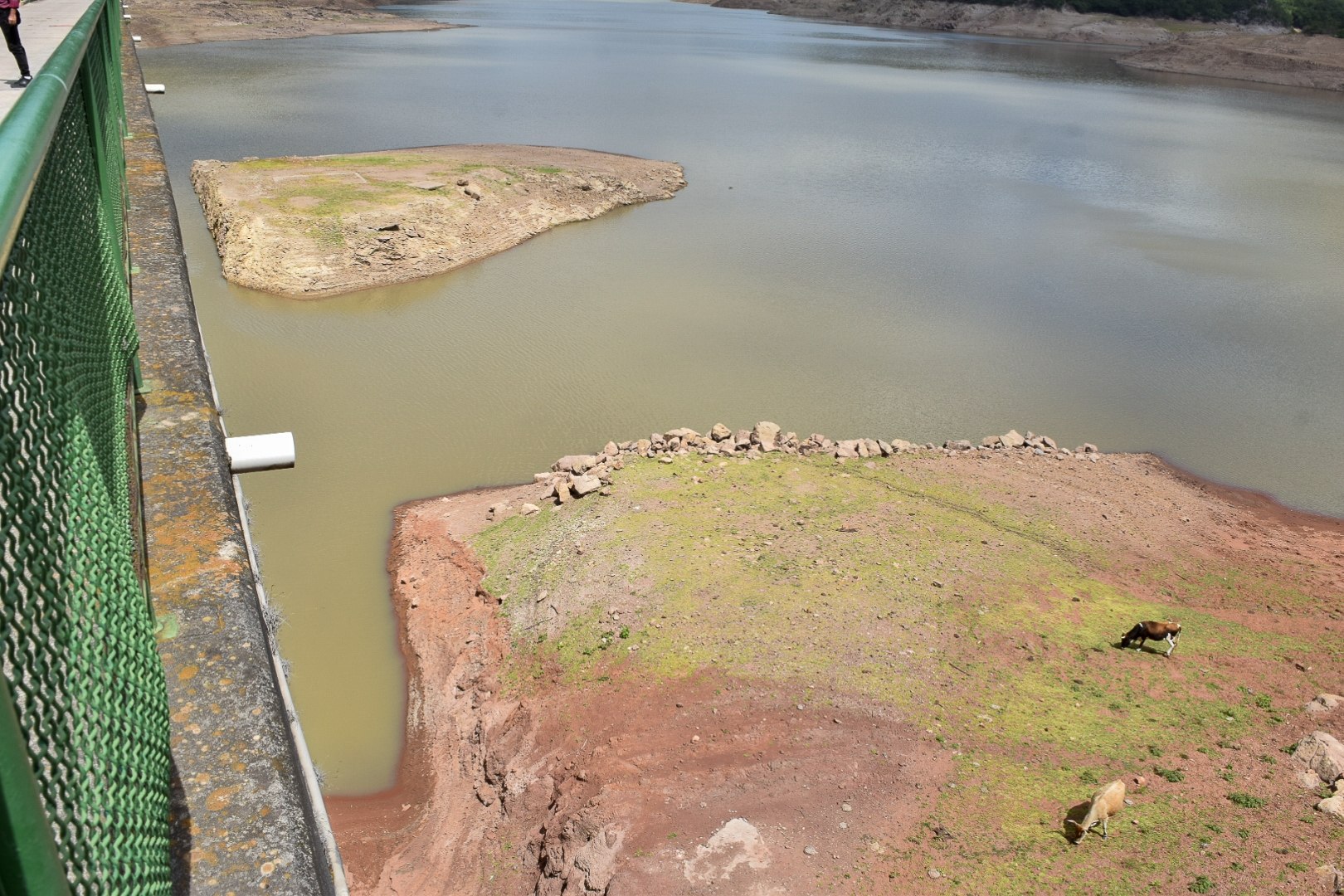 Emergencia del agua