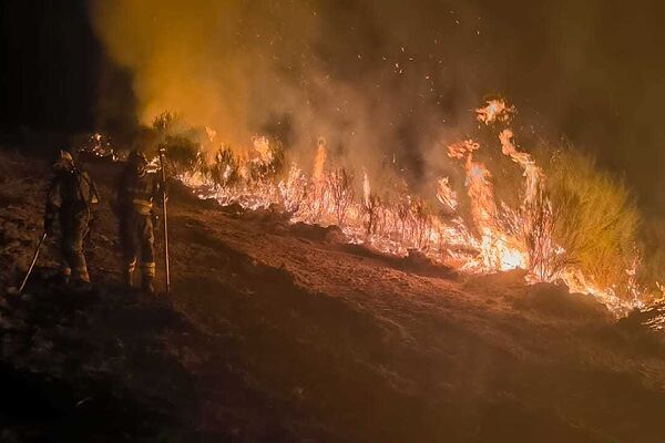 Incendio Forestal