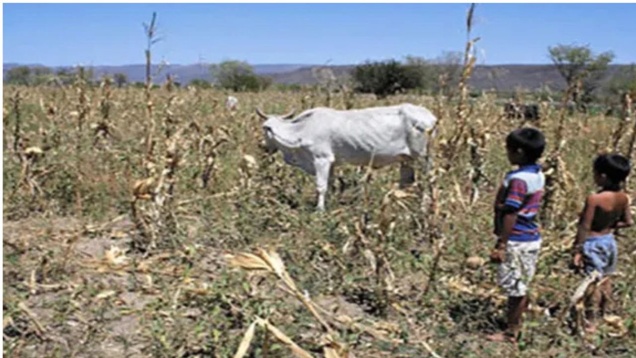 Fenómeno de "El Niño" pone en riesgo seguridad alimentaria de Centroamérica
