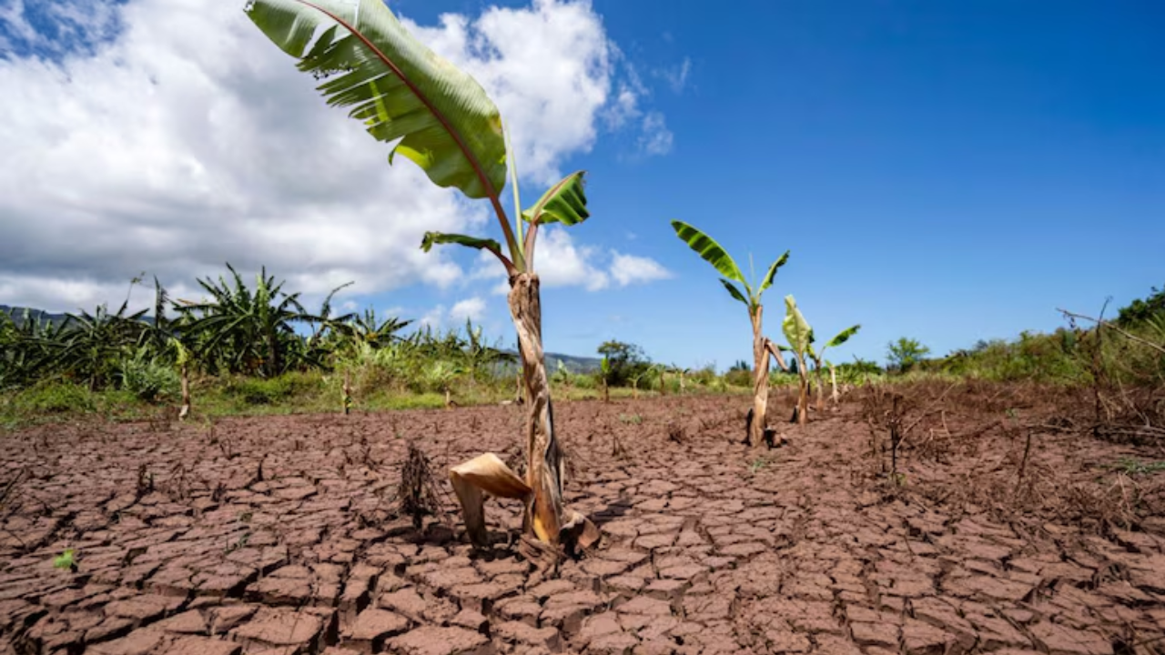 el_salvador_2026_05_19.png