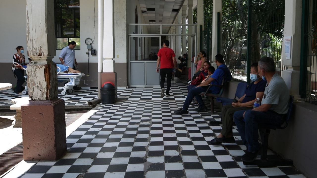 Imagen 2