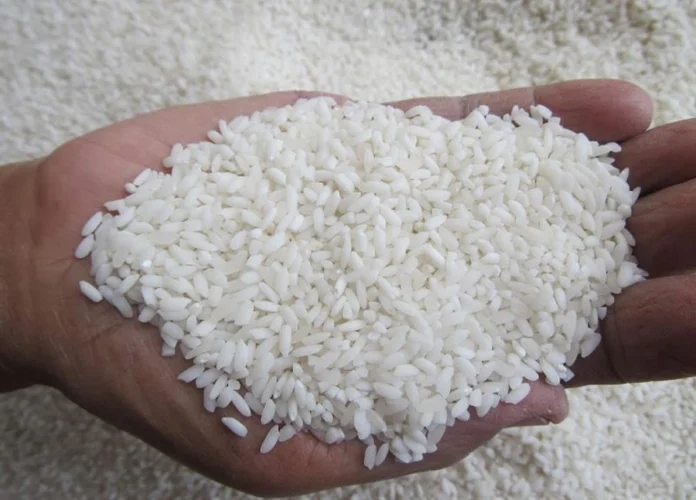 arroz-696x500.jpg.webp