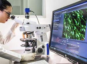 El laboratorio realizará pruebas pilotos para garantizar la compatibilidad entre los pacientes.