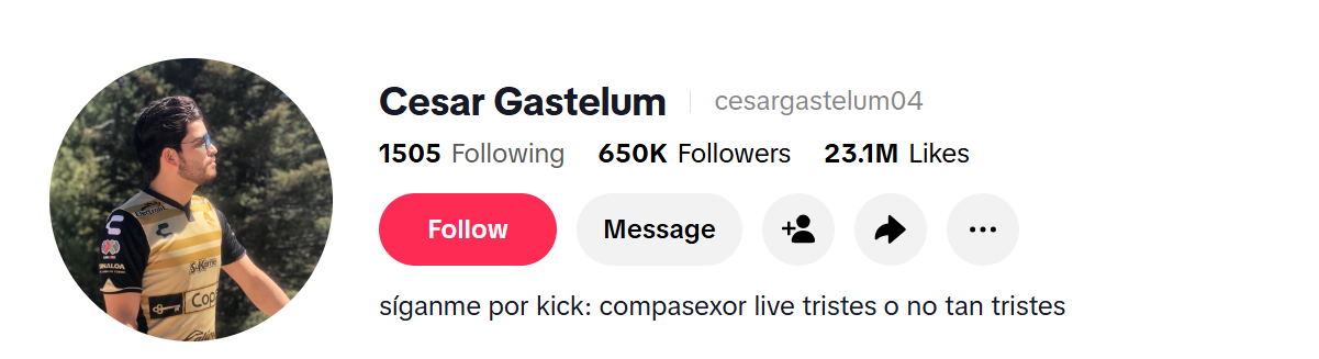 Gastélum cuenta con más de 600 mil seguidores y más de 23 millones de me gusta.