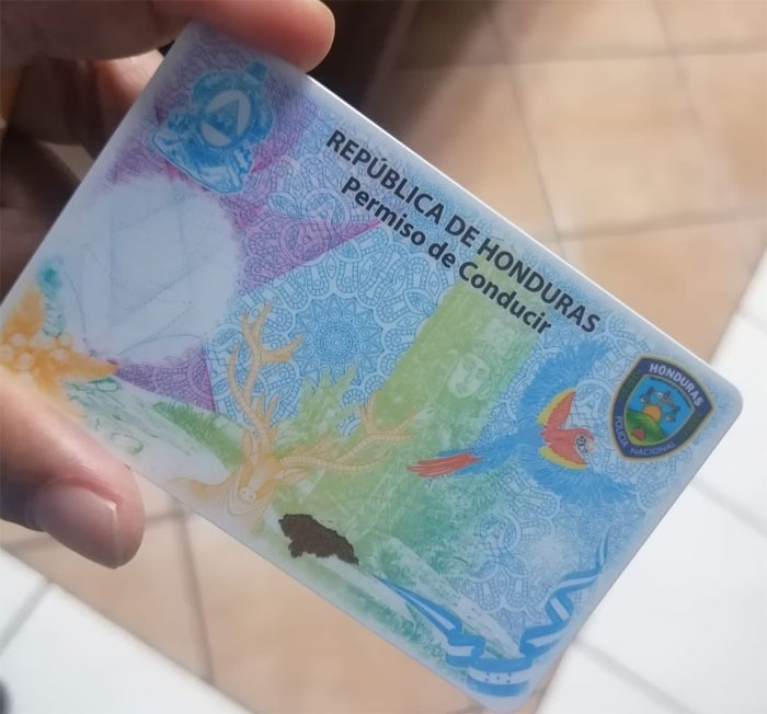 DNVT habilita atención los domingos para renovar permisos de conducir