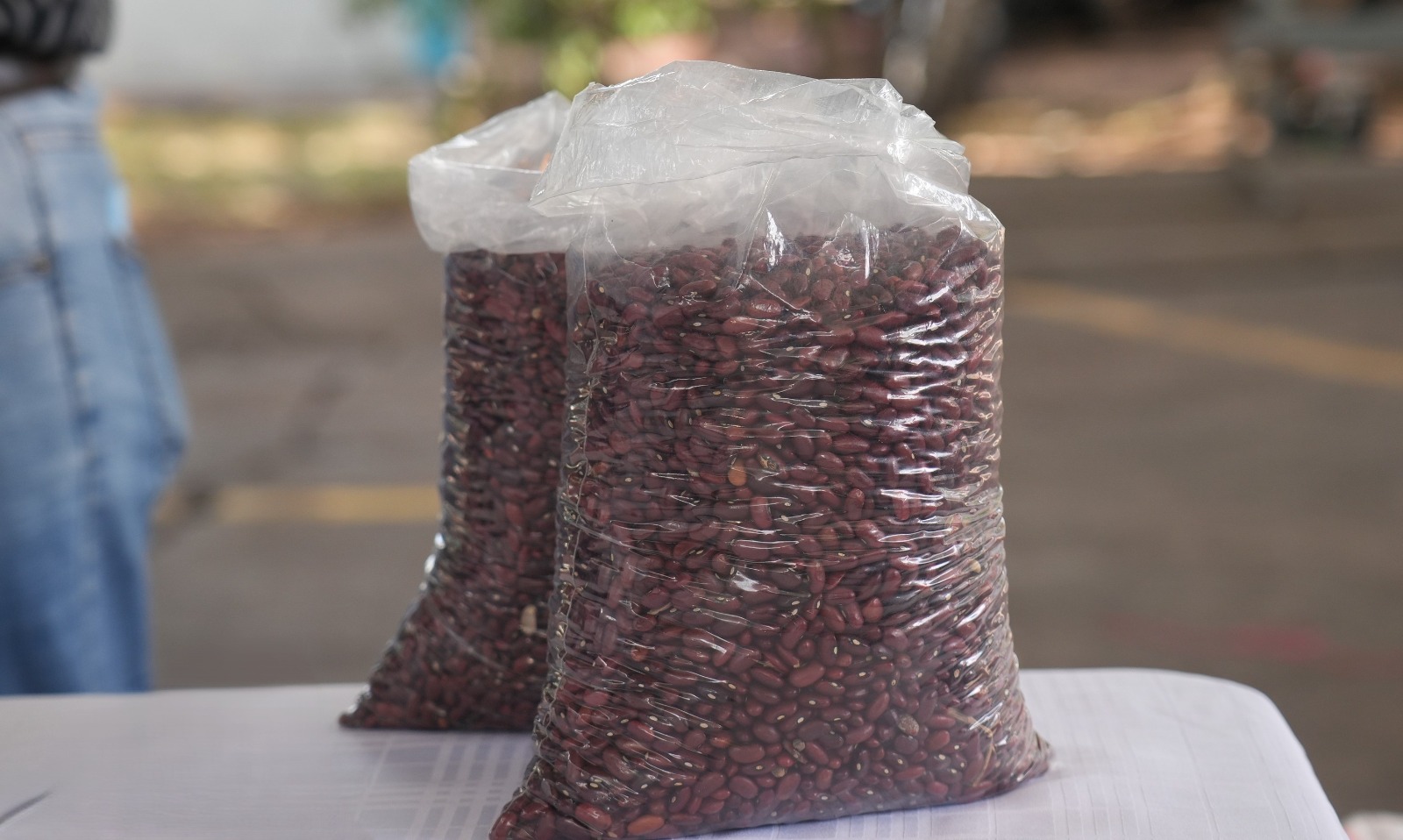 Productores de frijol recibirán semillas e insumos para aumentar la producción ante los efectos de la falta de agua.