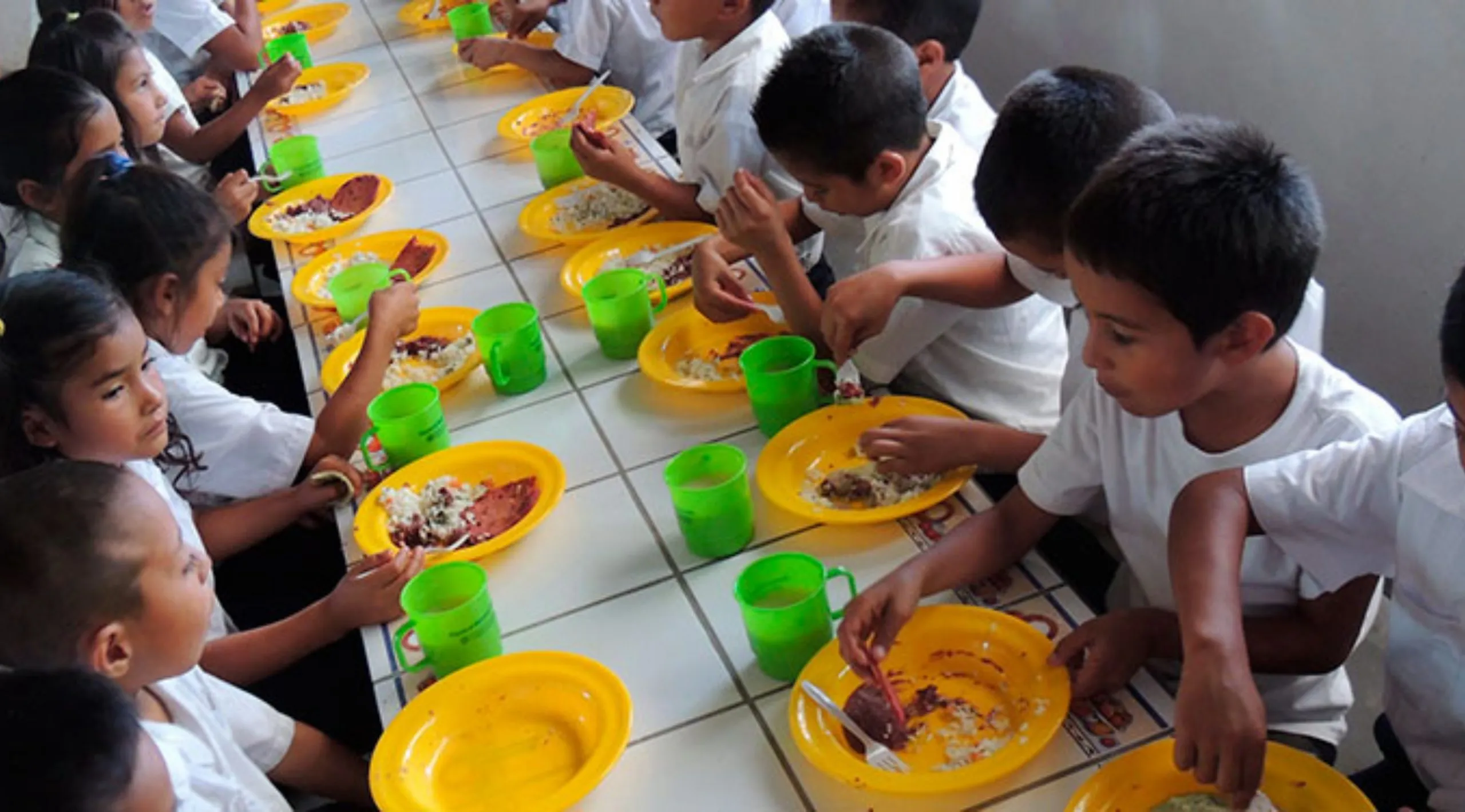Se implementa el vaso de leche en las escuelas.