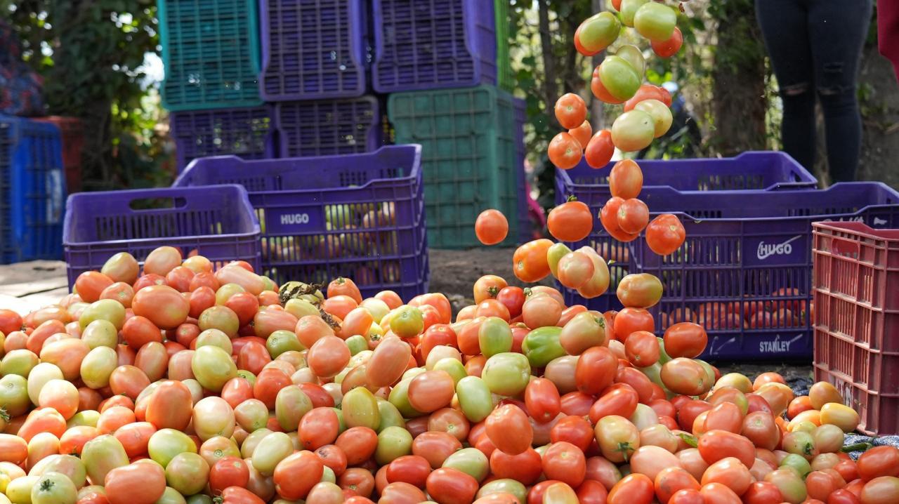 Honduras tiene riquezas en sus productos locales que son de ayuda y beneficio para todo el país.