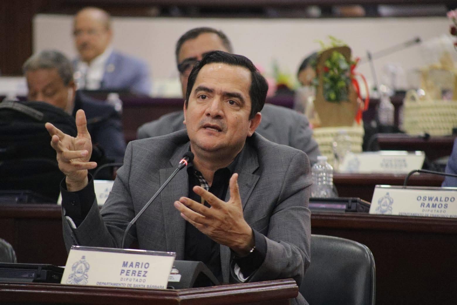 Diputado Mario Pérez