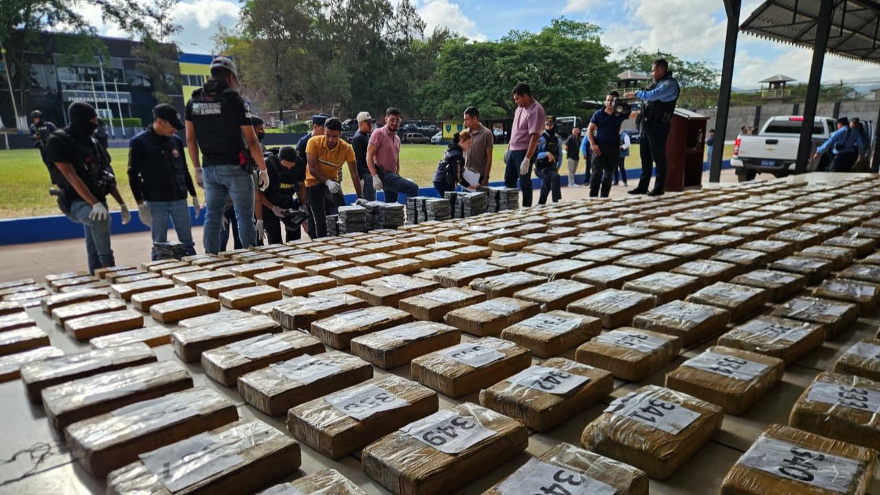 Imagen 2