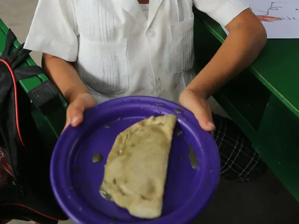 Alimentación escolar