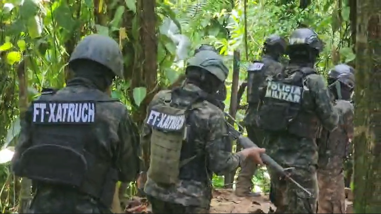 FFAA y la DLCN asestan nuevo golpe al narcotráfico con el aseguramiento de 22 mil plantas de coca en Colón