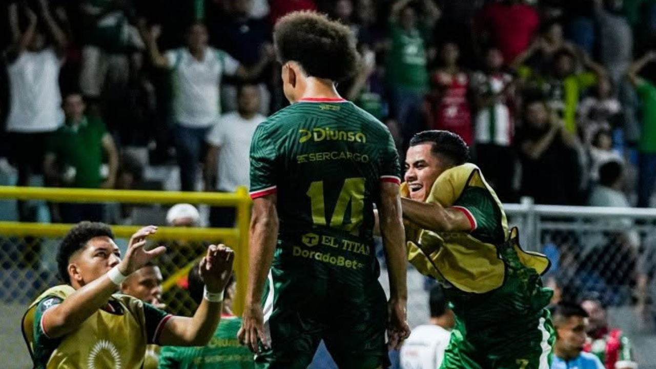 Imagen 2