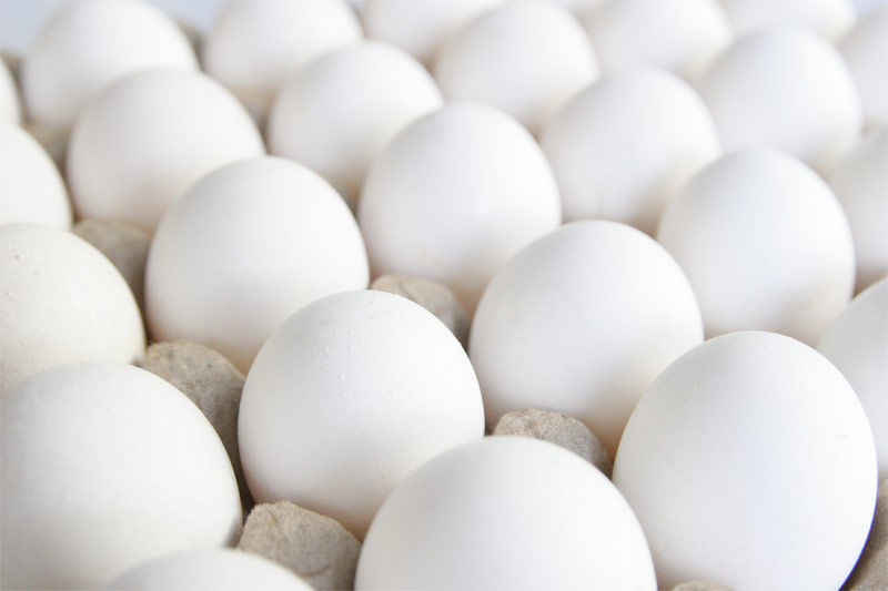 img_huevos2.jpg