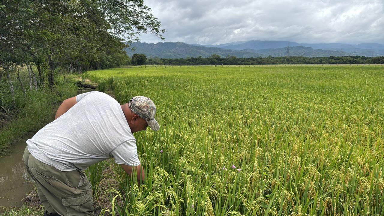 El desarrollo rural fue otro de los sectores que recibió recursos durante el primer convenio de la Cuenta del Milenio en Honduras.