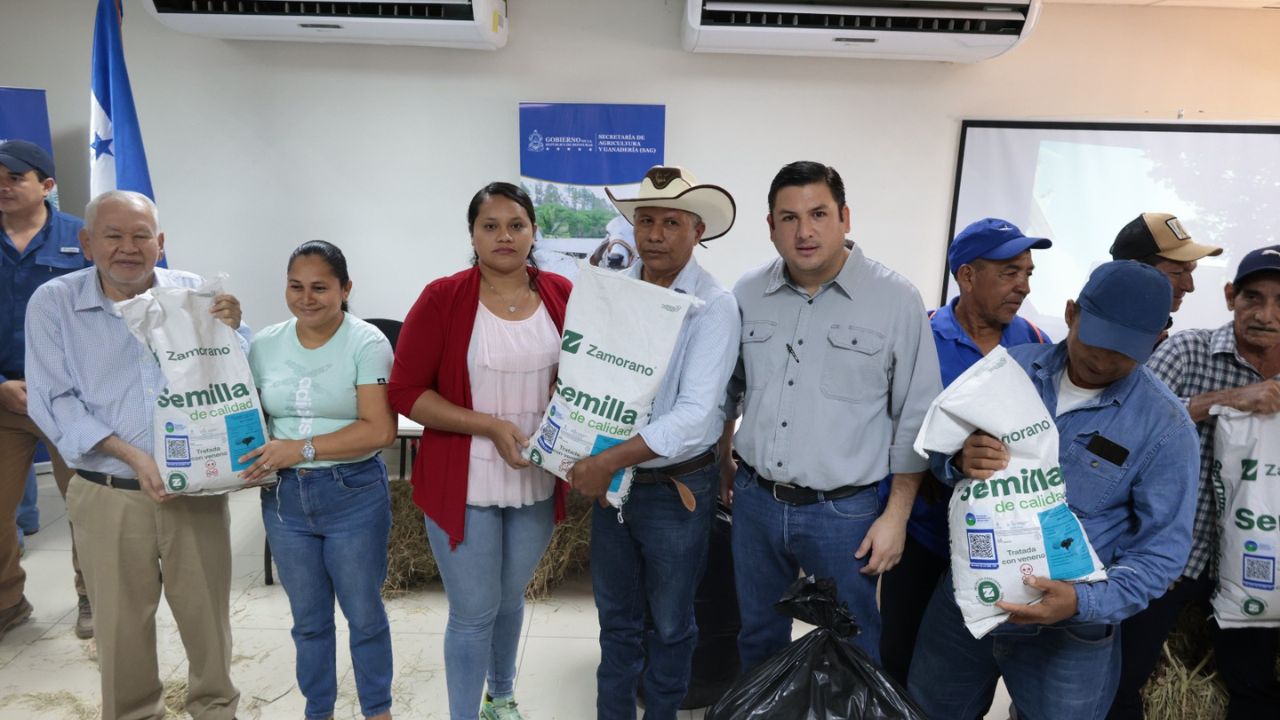 Imagen 2