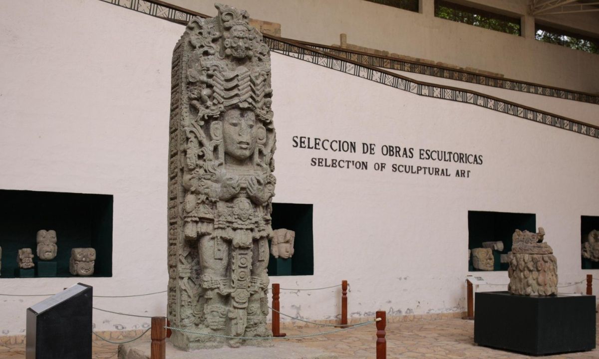 Imagen 5
