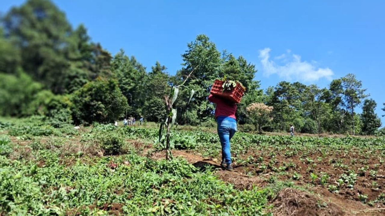 Más del 80 % de los municipios de Honduras sigue en alerta por sequía