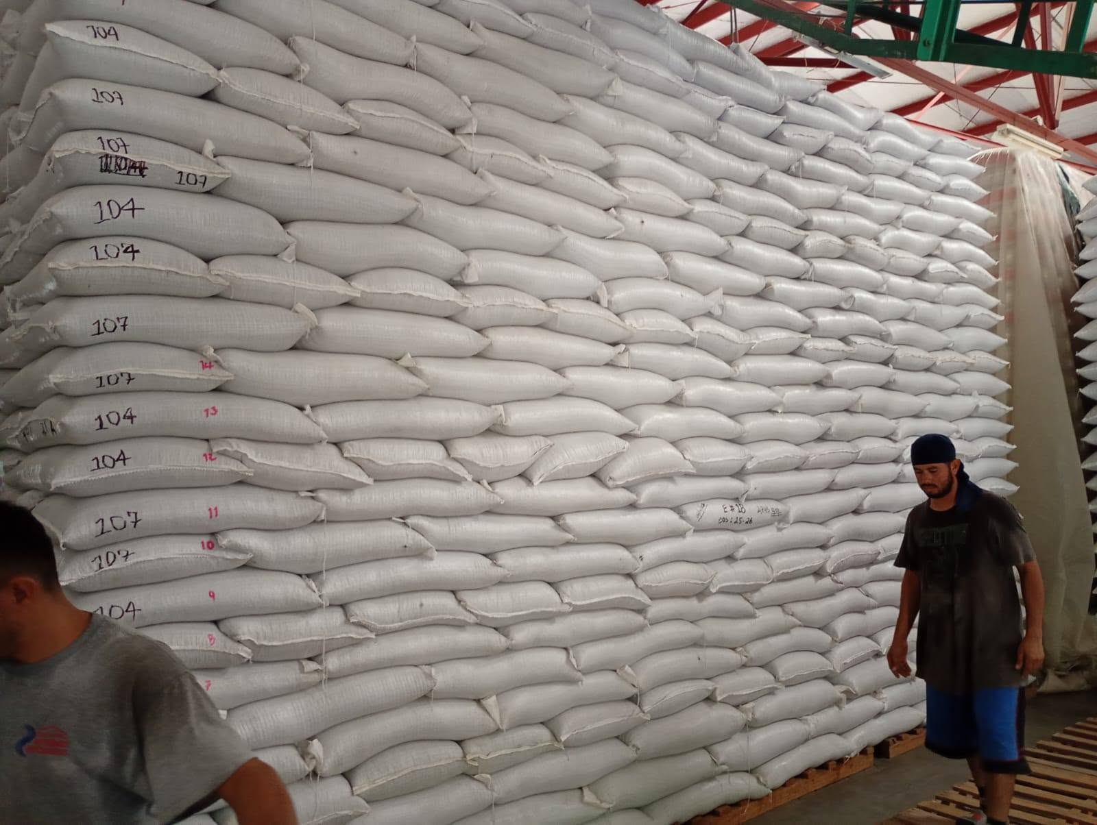 El IHMA comenzó la comercialización de unos 33,000 quintales de frijol que permanecían en inventario desde la administración anterior.