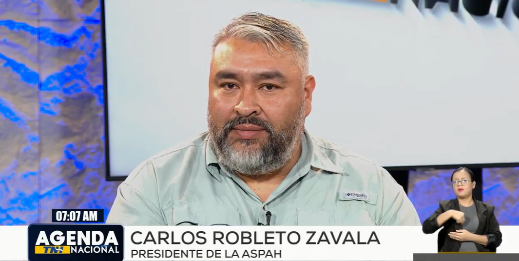 presidente de la Asociación de Productores de Aguacate (ASPAH),Carlos Robleto Zavala,