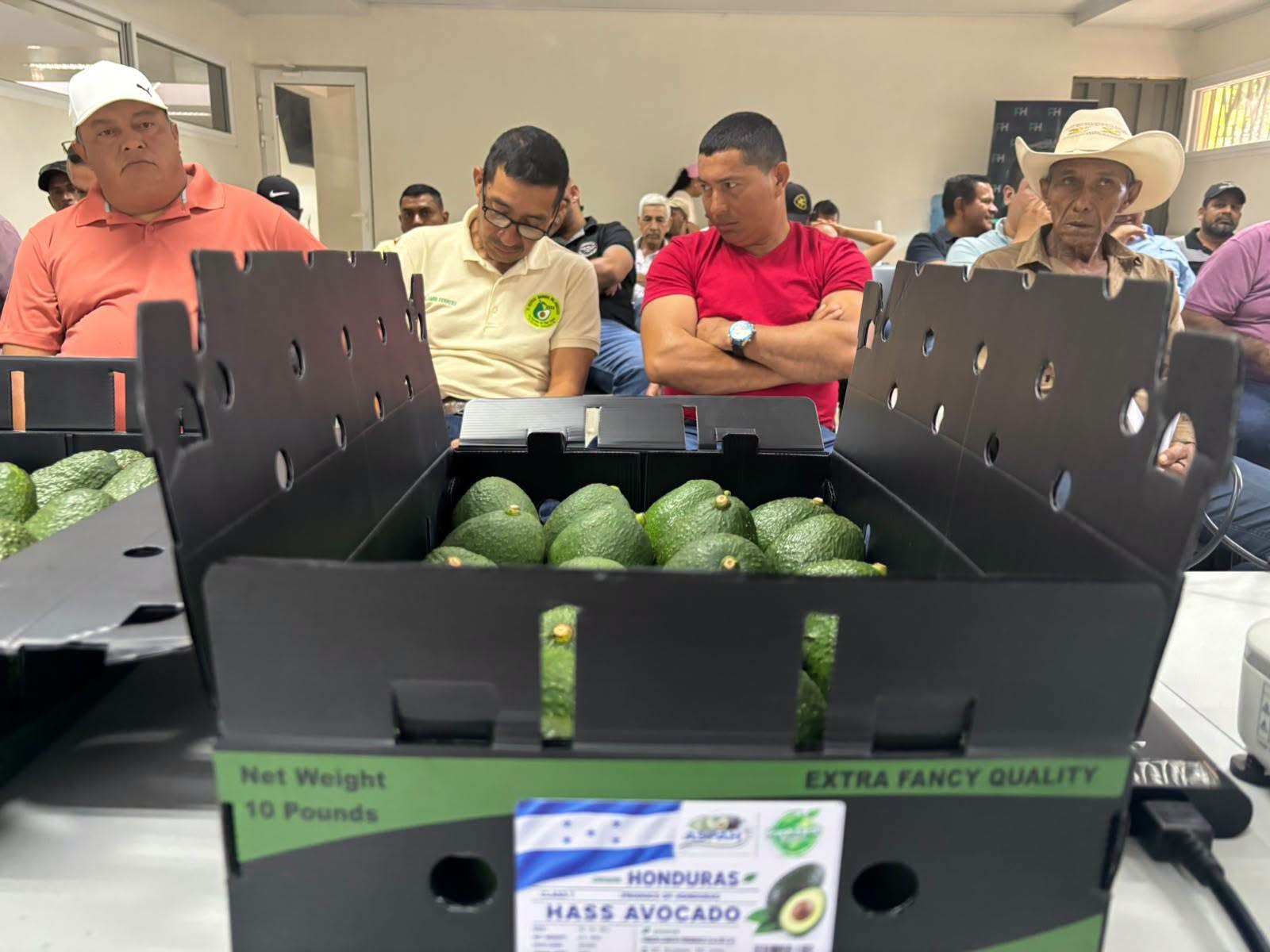 Exportación de aguacate hondureño a Dubái