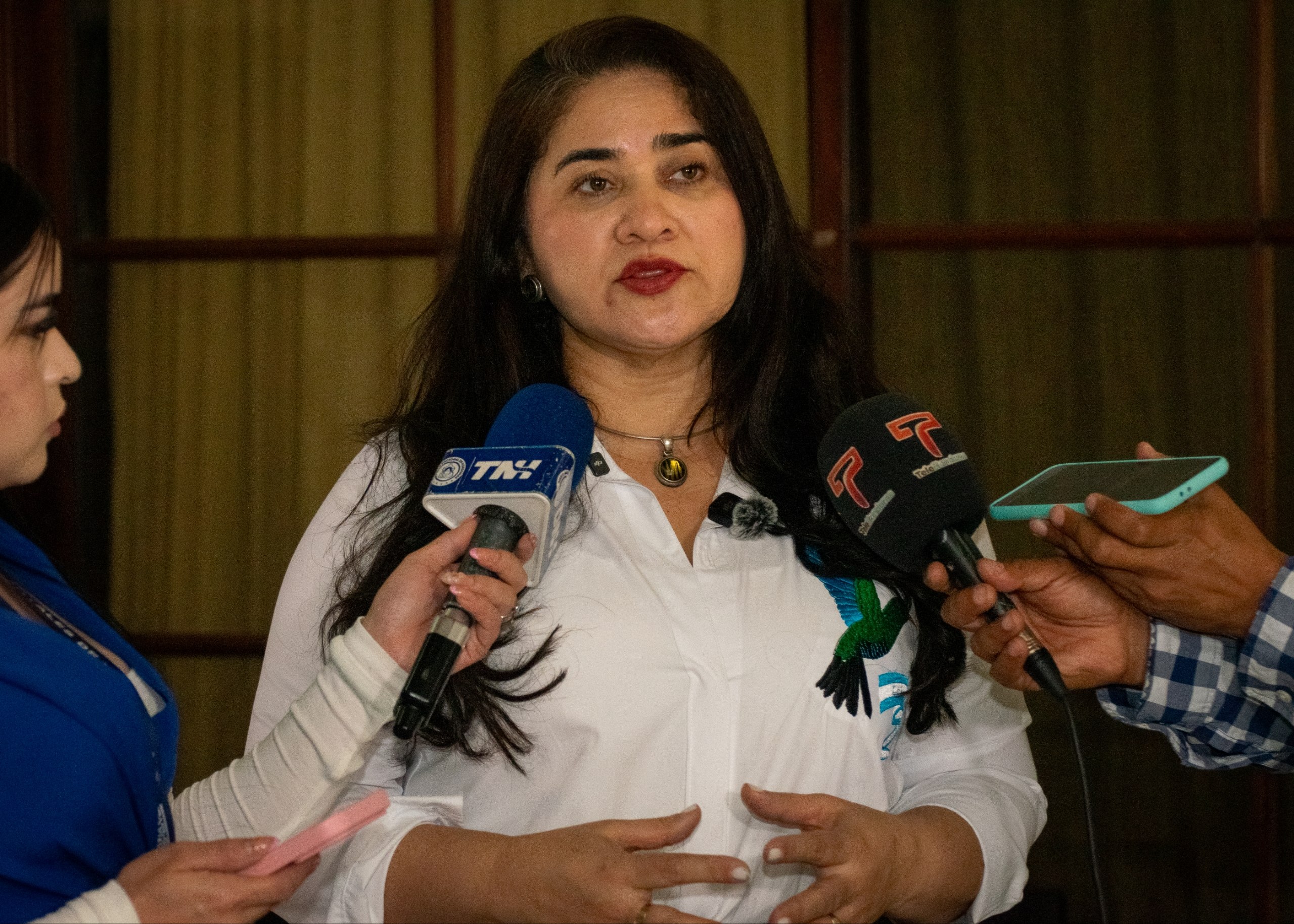 La designada presidencial Diana Baleska Herrera