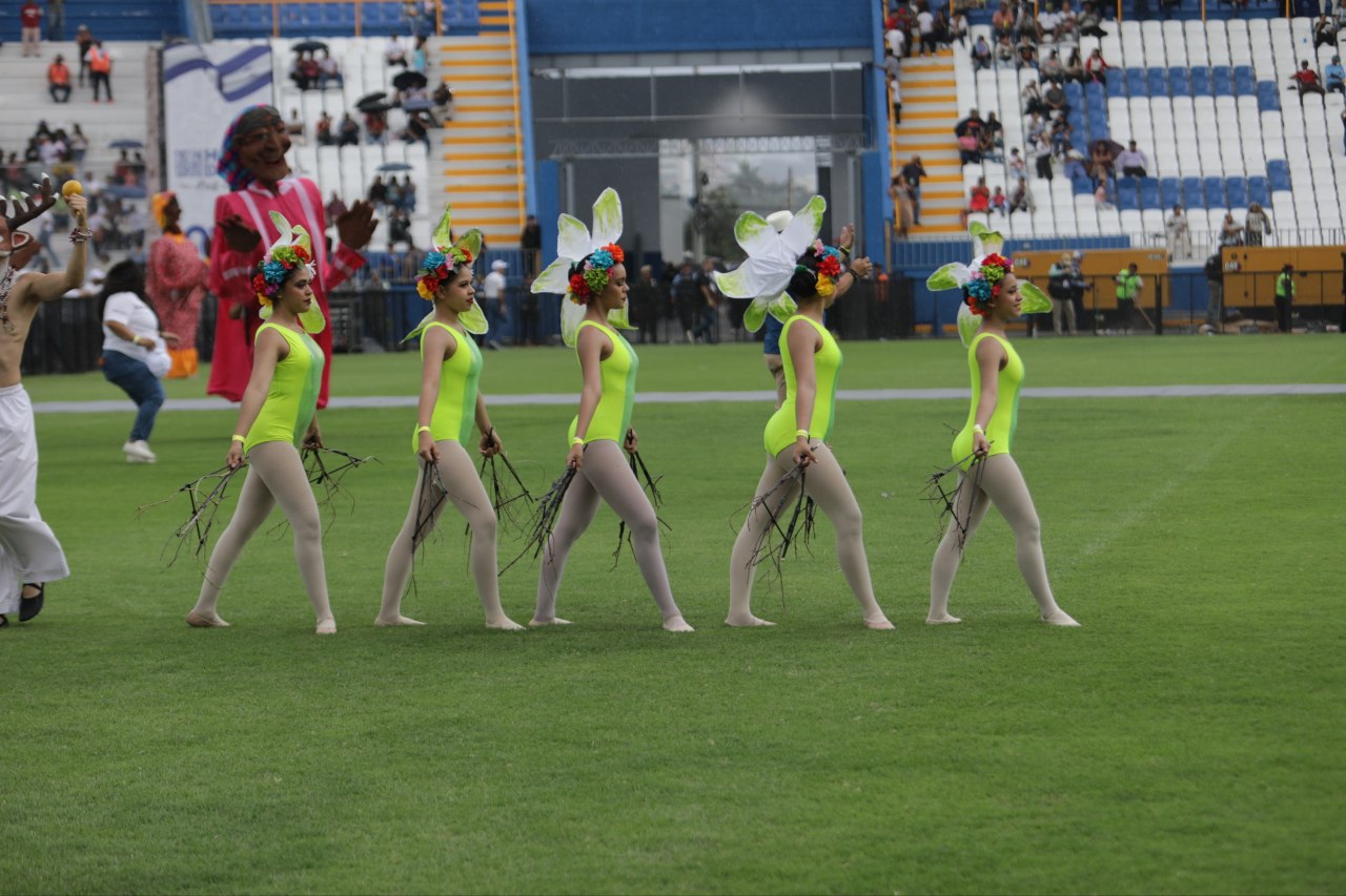 Imagen 22