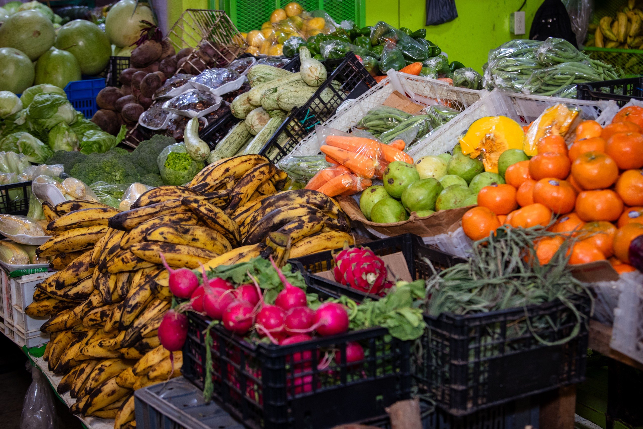 Impulsar la producción agrícola puede contribuir a una mayor seguridad alimentaria