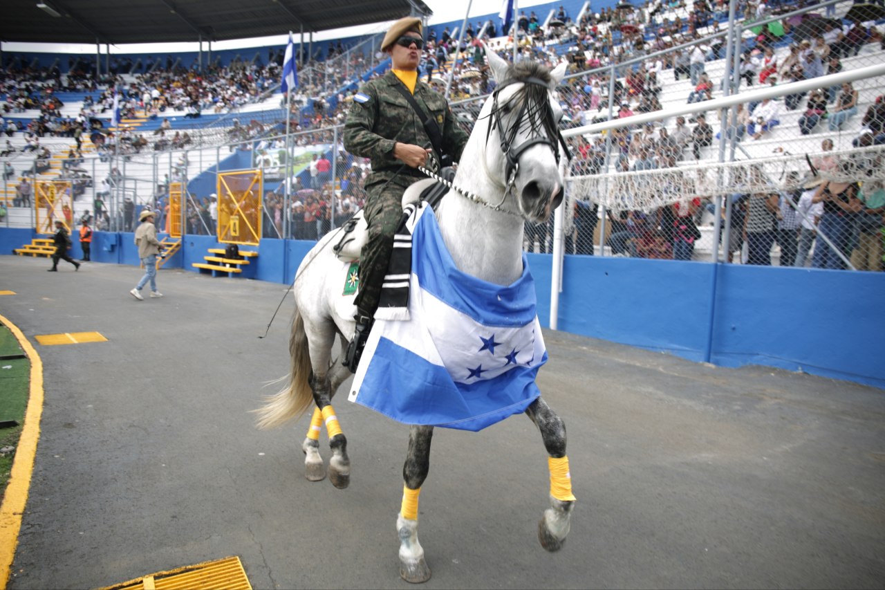 Imagen 71