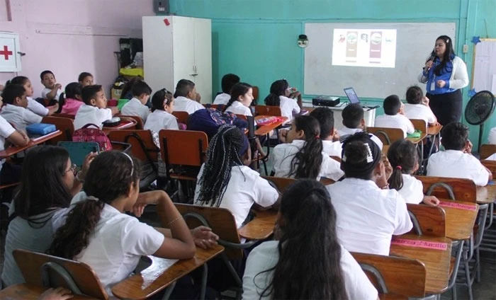 el contacto con las disciplinas artísticas debería tener mayor continuidad durante la formación de los estudiantes y no limitarse a determinadas etapas