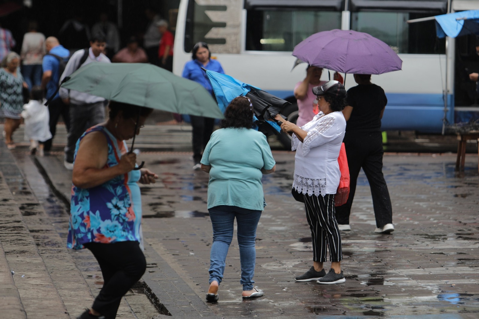 Personas utilizan paraguas por lluvias.